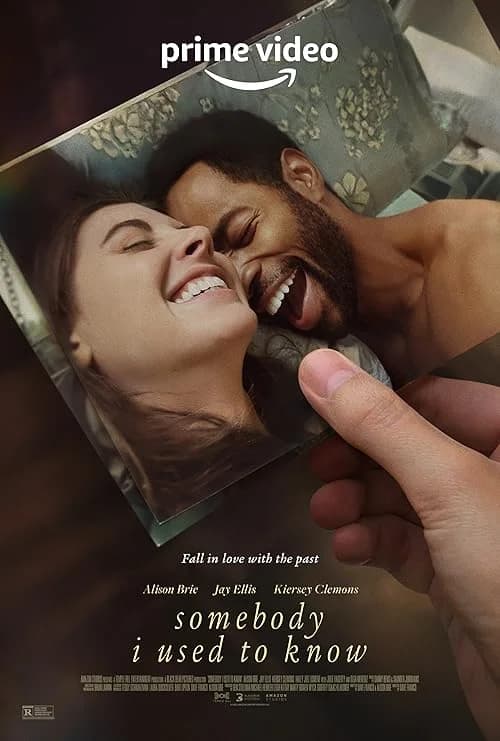 Somebody I Used to Know film posteri